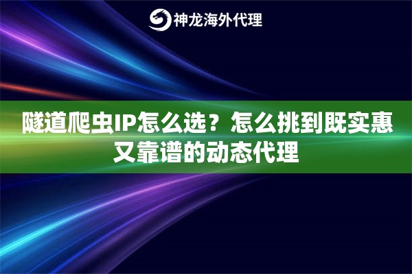 隧道爬虫IP怎么选？怎么挑到既实惠又靠谱的动态代理