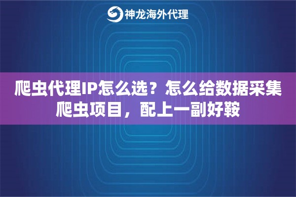 爬虫代理IP怎么选？怎么给数据采集爬虫项目，配上一副好鞍