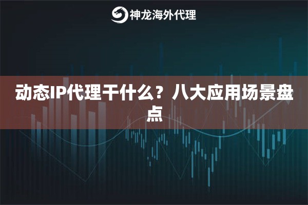 动态IP代理干什么?八大应用场景盘点 动态IP代理干什么?八大应用场景盘点