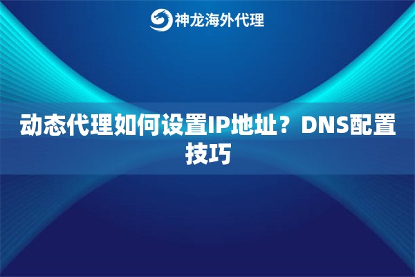 动态代理如何设置IP地址？DNS配置技巧
