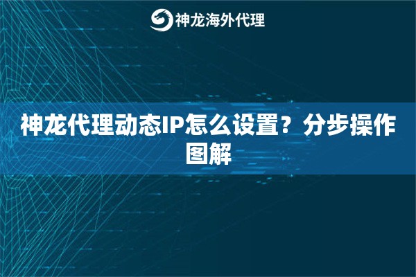 神龙代理动态IP怎么设置？分步操作图解