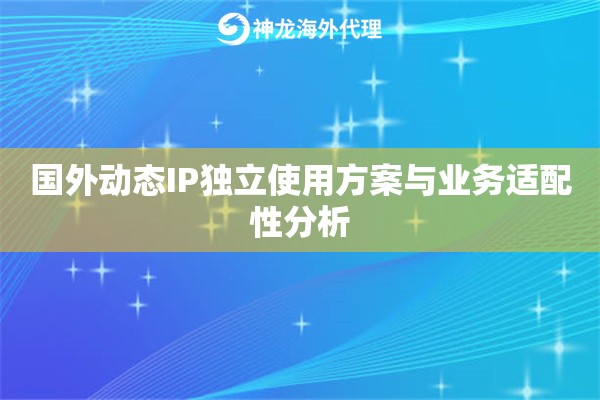 国外动态IP独立使用方案与业务适配性分析