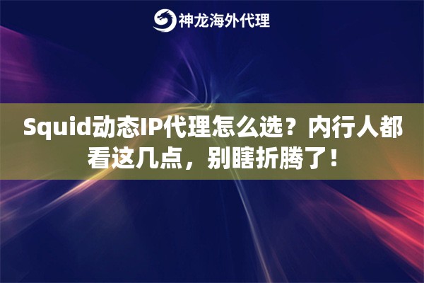 Squid动态IP代理怎么选？内行人都看这几点，别瞎折腾了！