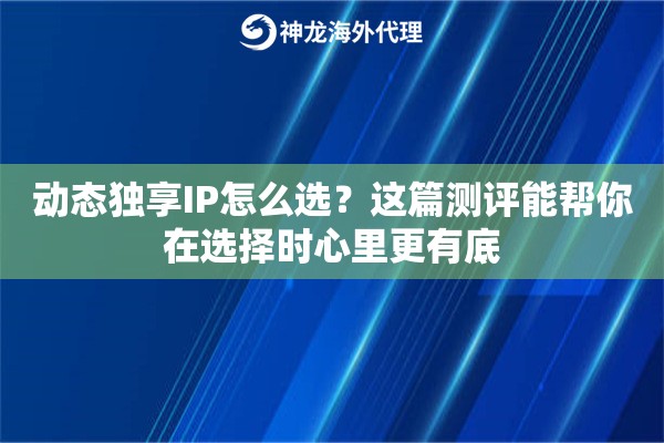动态独享IP怎么选？这篇测评能帮你在选择时心里更有底