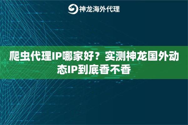 爬虫代理IP哪家好？实测神龙国外动态IP到底香不香
