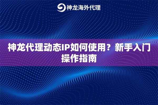 神龙代理动态IP如何使用？新手入门操作指南