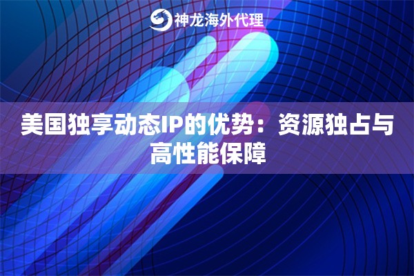 美国独享动态IP的优势：资源独占与高性能保障