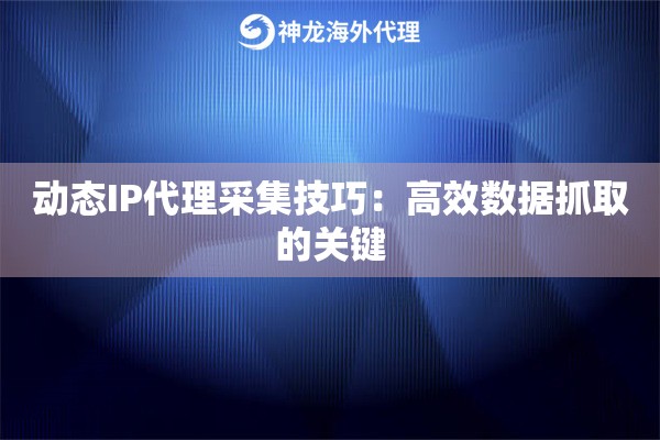 动态IP代理采集技巧:高效数据抓取的关键 动态IP代理采集技巧:高效数据抓取的关键