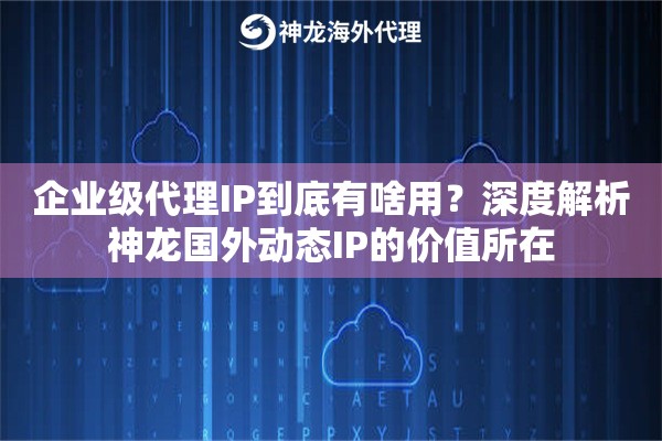 企业级代理IP到底有啥用？深度解析神龙国外动态IP的价值所在