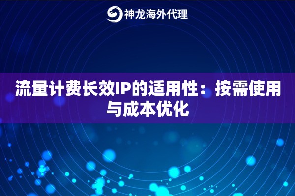 流量计费长效IP的适用性：按需使用与成本优化