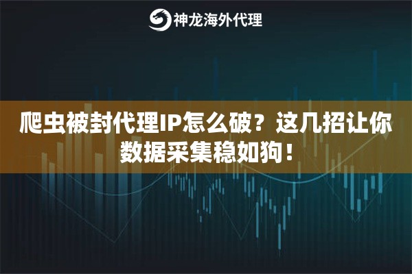 爬虫被封代理IP怎么破？这几招让你数据采集稳如狗！