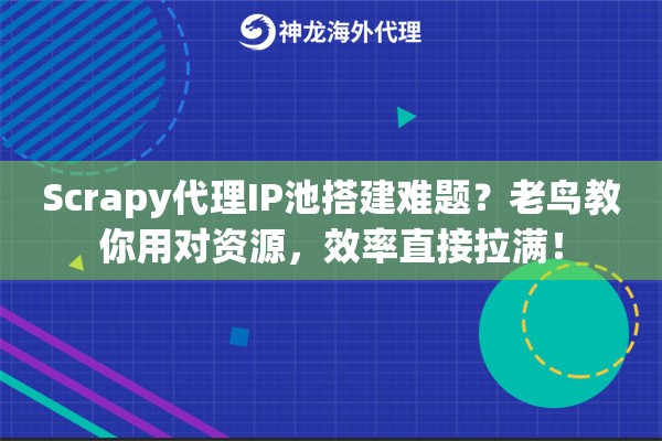 Scrapy代理IP池搭建难题？老鸟教你用对资源，效率直接拉满！