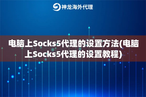 电脑上Socks5代理的设置方法(电脑上Socks5代理的设置教程)