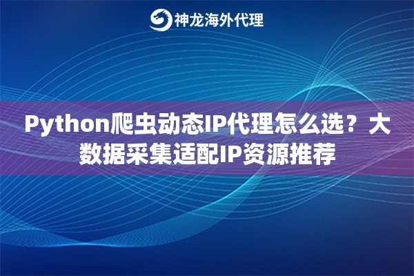 Python爬虫动态IP代理怎么选？大数据采集适配IP资源推荐