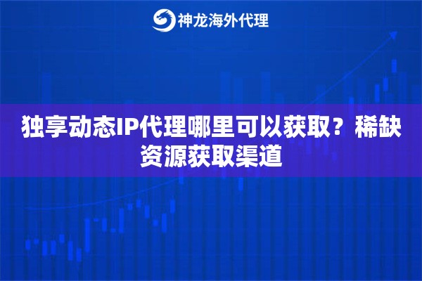独享动态IP代理哪里可以获取？稀缺资源获取渠道
