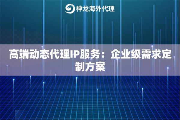 高端动态代理IP服务:企业级需求定制方案 高端动态代理IP服务:企业级需求定制方案