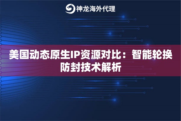 美国动态原生IP资源对比：智能轮换防封技术解析
