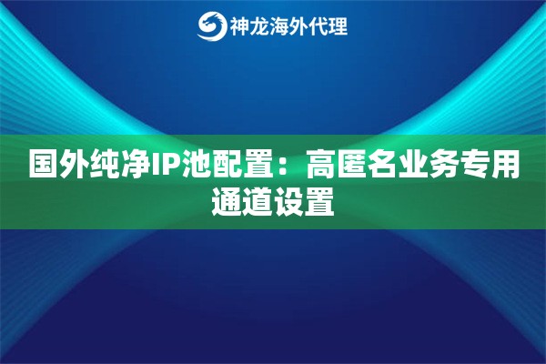 国外纯净IP池配置：高匿名业务专用通道设置