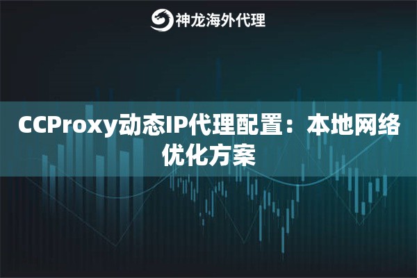 CCProxy动态IP代理配置：本地网络优化方案