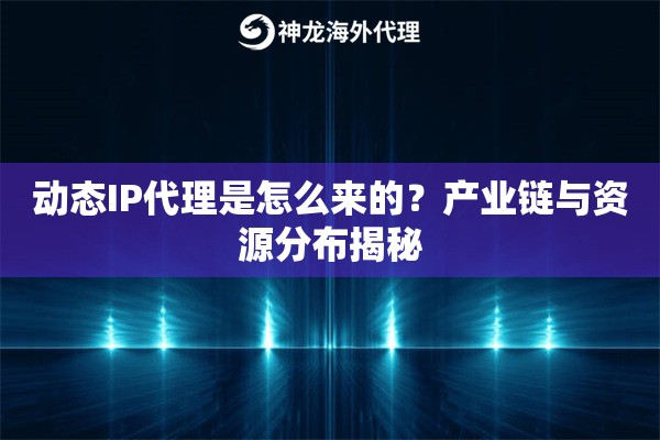 动态IP代理是怎么来的？产业链与资源分布揭秘