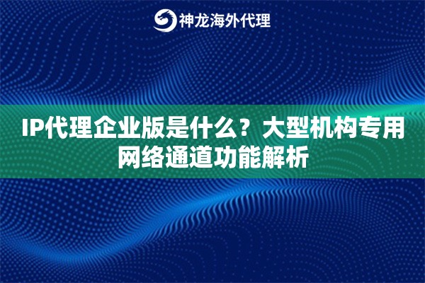 IP代理企业版是什么？大型机构专用网络通道功能解析
