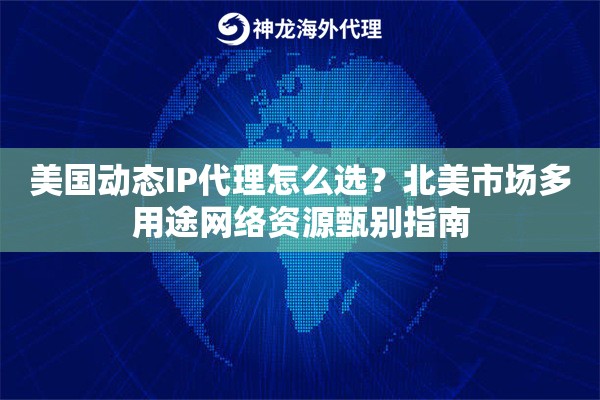 美国动态IP代理怎么选？北美市场多用途网络资源甄别指南