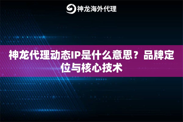 神龙代理动态IP是什么意思？品牌定位与核心技术