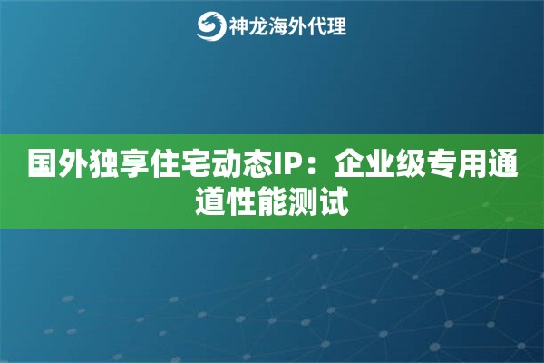 国外独享住宅动态IP：企业级专用通道性能测试