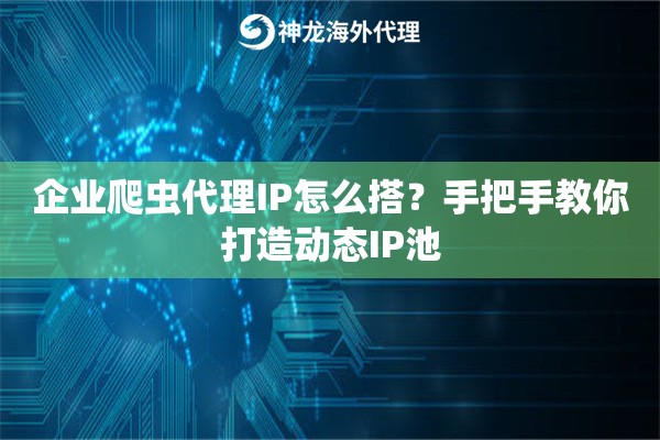 企业爬虫代理IP怎么搭？手把手教你打造动态IP池
