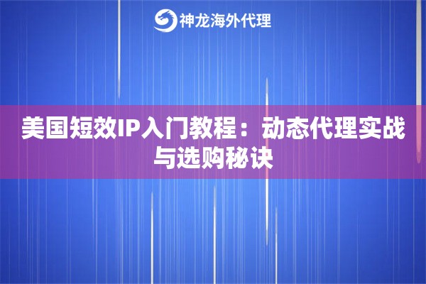美国短效IP入门教程：动态代理实战与选购秘诀