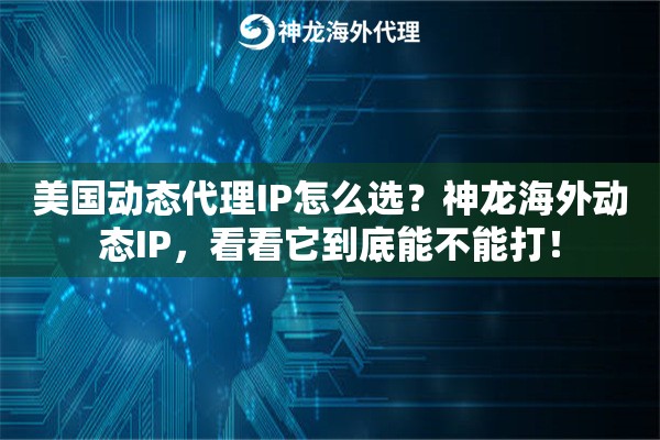 美国动态代理IP怎么选？神龙海外动态IP，看看它到底能不能打！