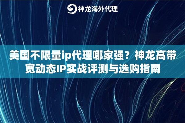 美国不限量ip代理哪家强？神龙高带宽动态IP实战评测与选购指南