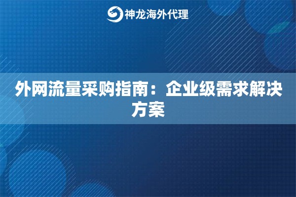外网流量采购指南：企业级需求解决方案