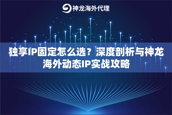 独享IP固定怎么选？深度剖析与神龙海外动态IP实战攻略