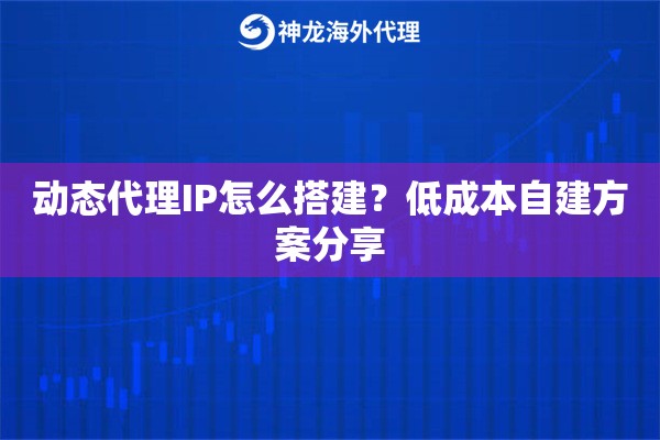 动态代理IP怎么搭建?低成本自建方案分享 动态代理IP怎么搭建?低成本自建方案分享