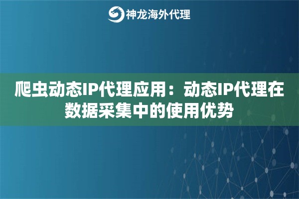 爬虫动态IP代理应用：动态IP代理在数据采集中的使用优势
