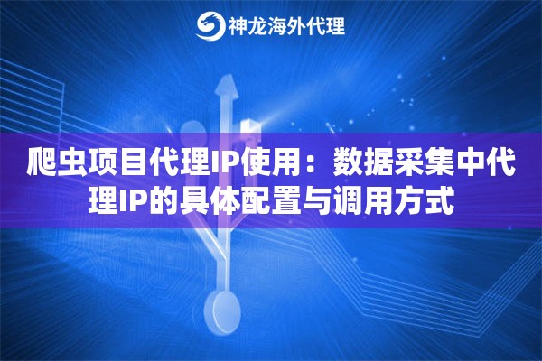 爬虫项目代理IP使用：数据采集中代理IP的具体配置与调用方式