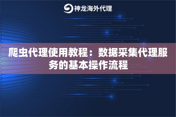爬虫代理使用教程：数据采集代理服务的基本操作流程