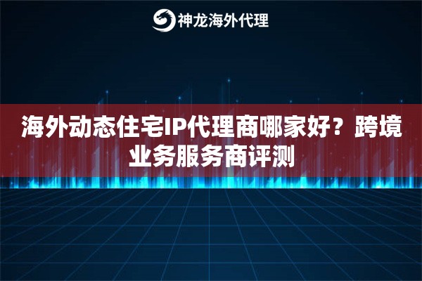 海外动态住宅IP代理商哪家好？跨境业务服务商评测