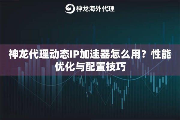 神龙代理动态IP加速器怎么用？性能优化与配置技巧