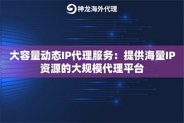 大容量动态IP代理服务：提供海量IP资源的大规模代理平台