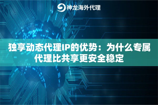 独享动态代理IP的优势：为什么专属代理比共享更安全稳定