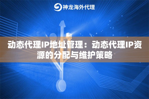 动态代理IP地址管理：动态代理IP资源的分配与维护策略