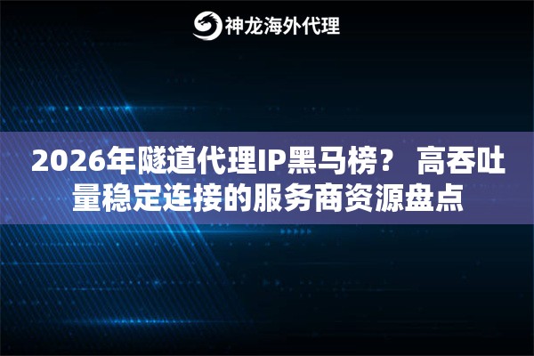 2026年隧道代理IP黑马榜？ 高吞吐量稳定连接的服务商资源盘点