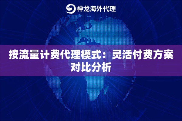 按流量计费代理模式：灵活付费方案对比分析