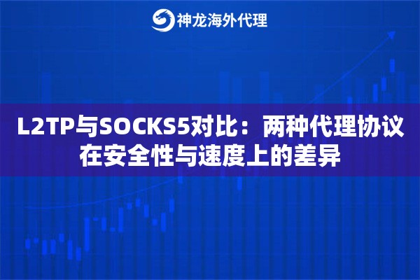 L2TP与SOCKS5对比：两种代理协议在安全性与速度上的差异