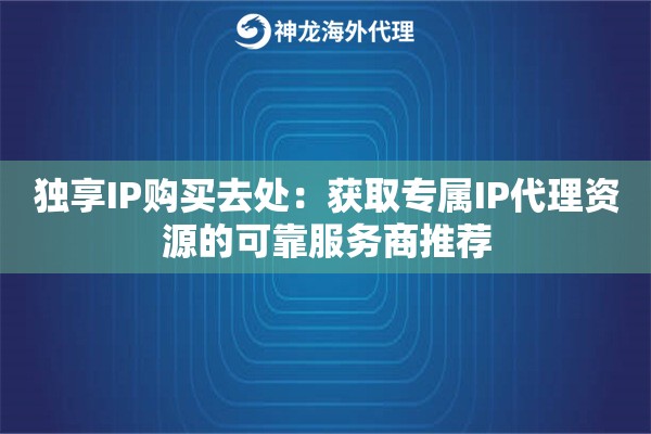 独享IP购买去处：获取专属IP代理资源的可靠服务商推荐