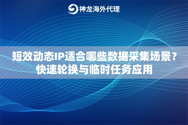 短效动态IP适合哪些数据采集场景？快速轮换与临时任务应用