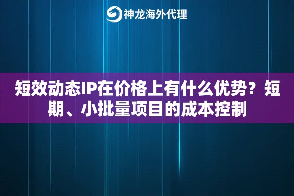 短效动态IP在价格上有什么优势？短期、小批量项目的成本控制