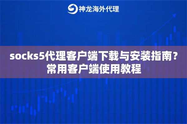 socks5代理客户端下载与安装指南？常用客户端使用教程